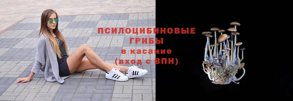 прущая мука Бронницы